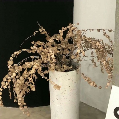 Furry兽圈美学分享福瑞交流群